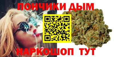 прущие грибы Канаш
