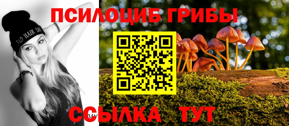 Галлюциногенные грибы прущие грибы  Вход с VPN  закладка  Мариинск  Псилоцибиновые грибы Magic Shrooms 