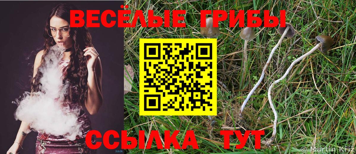 Псилоцибиновые грибы прущие грибы Мариинск